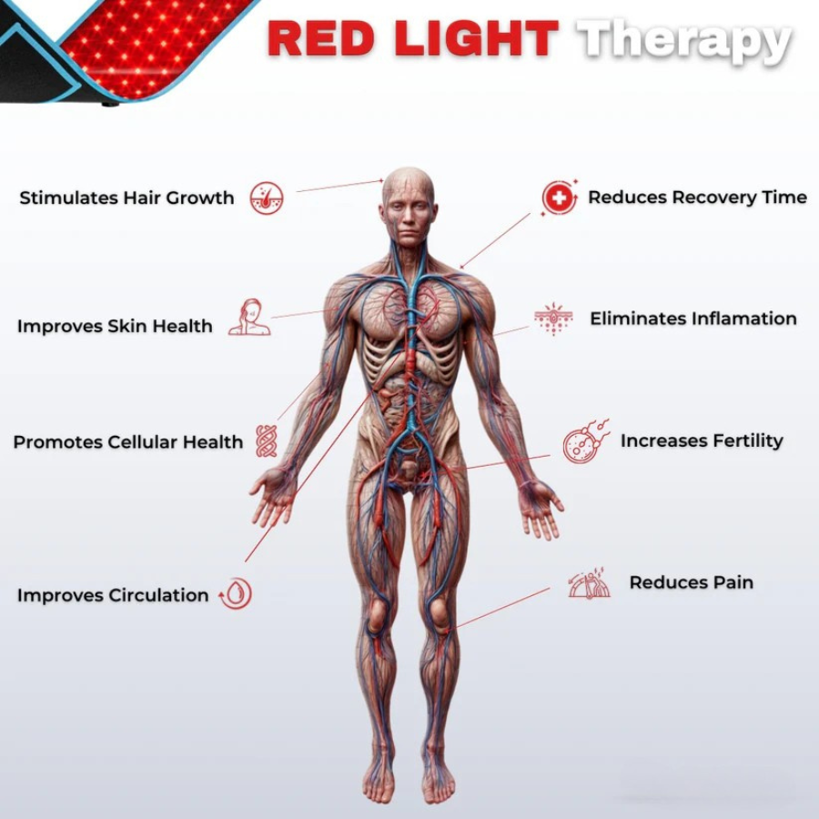 HealBand Red Infrared Light Therapy Belt